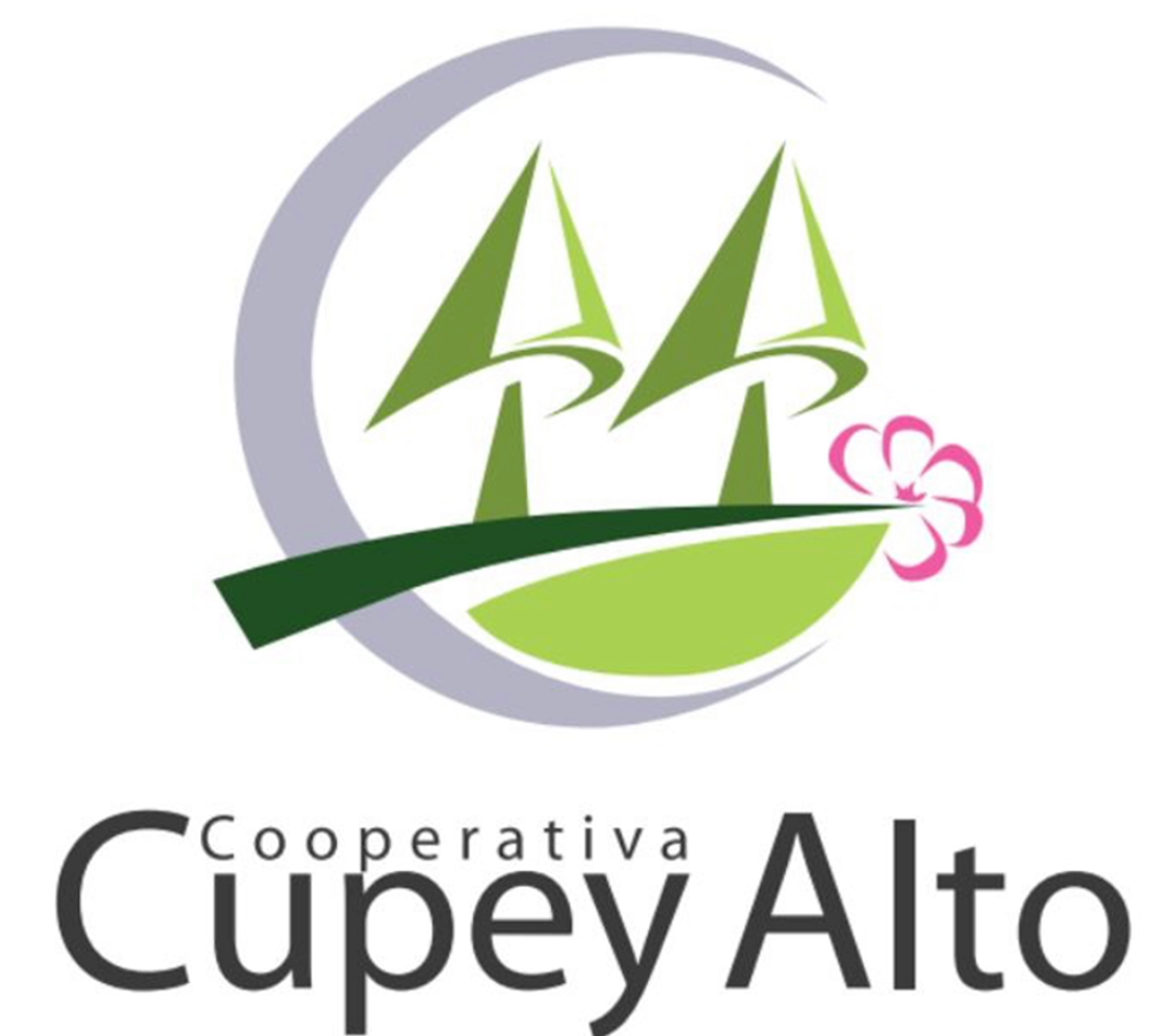CUPEY ALTO